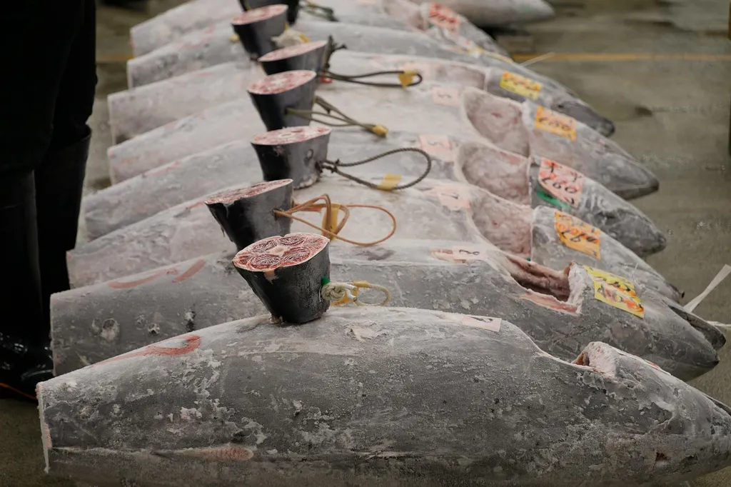 vente-aux-encheres-judiciaires